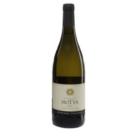 Trebbiano Azienda Agraria MOTTA