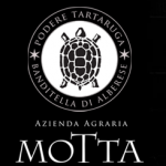 Motta Logo Motta Logo